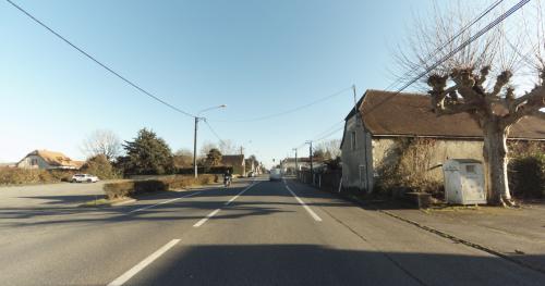 Photo de Denguin
