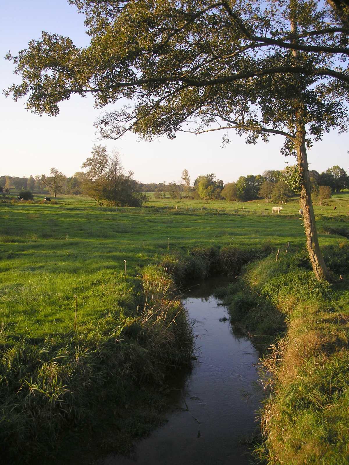 Photo de Désertines