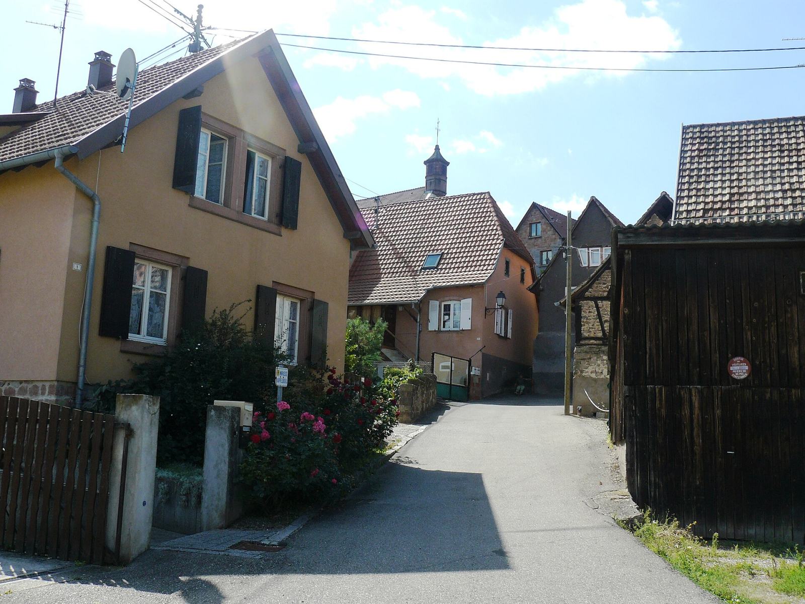Photo de Dieffenthal