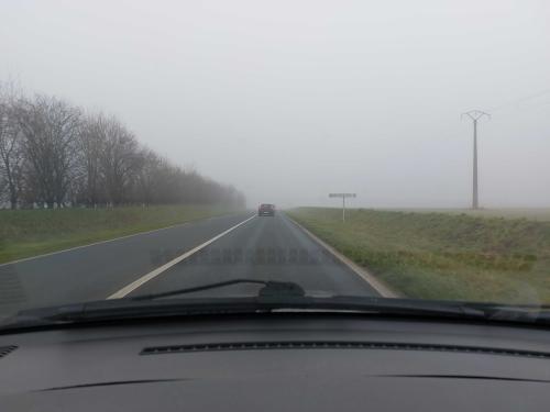 Photo de Diors