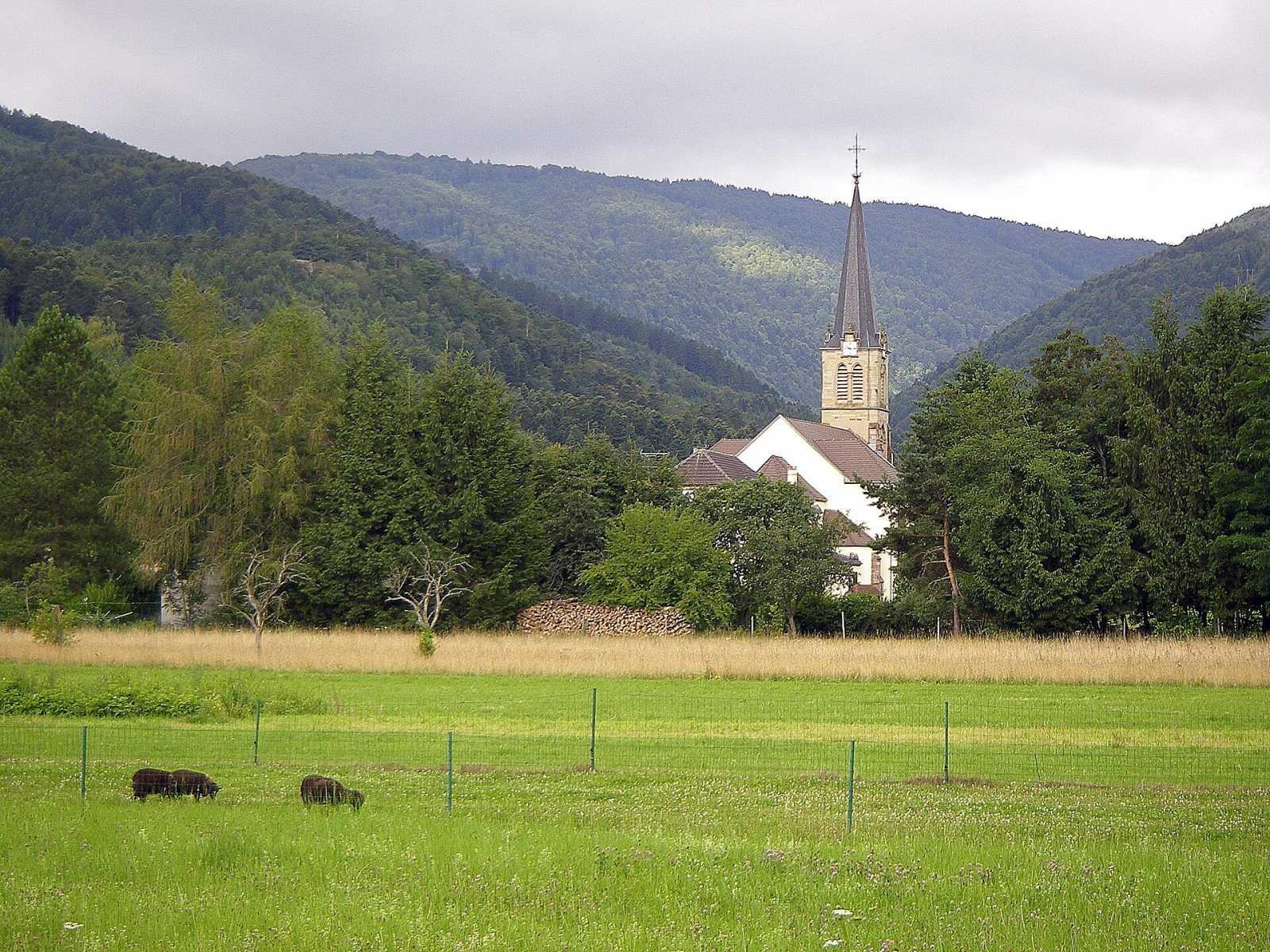 Photo de Dolleren