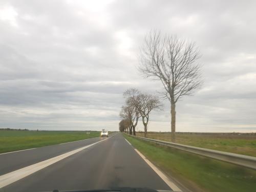 Photo de Dolus-le-Sec