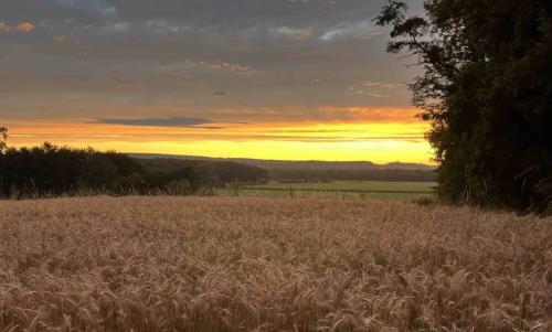 Photo de Dommartin-sur-Vraine