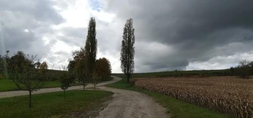 Photo de Durlinsdorf