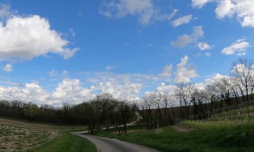Photo de Échallat