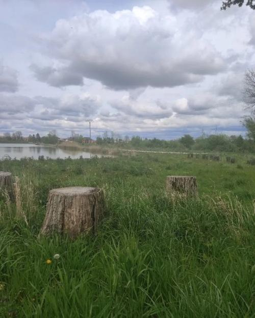 Photo de Épense