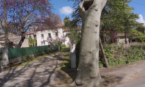Photo de Escueillens-et-Saint-Just-de-Bélengard