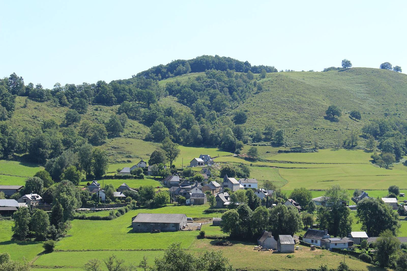 Photo de Espèche