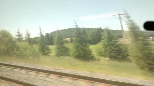 Photo de Espeluche