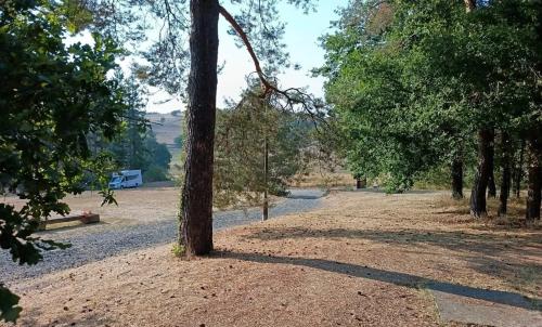 Photo de Esteil