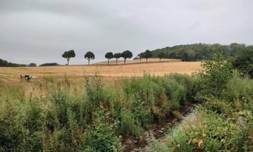 Photo de Estréelles