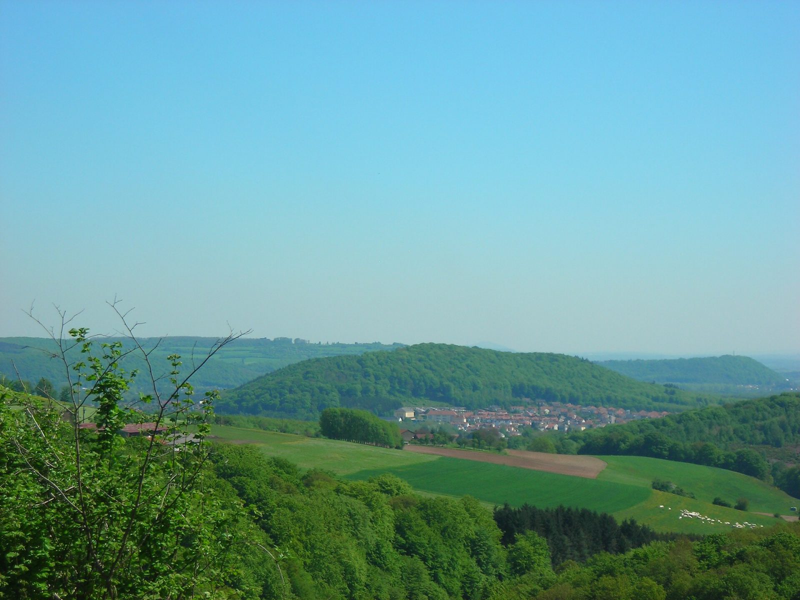 Photo de Falck