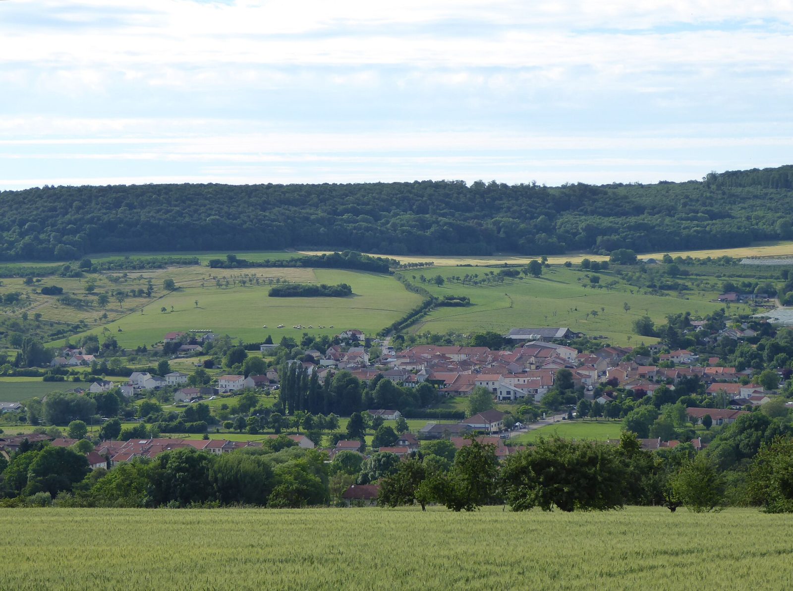 Photo de Faulx