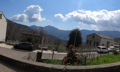 Photo de Felce