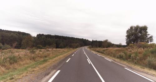 Photo de Félines