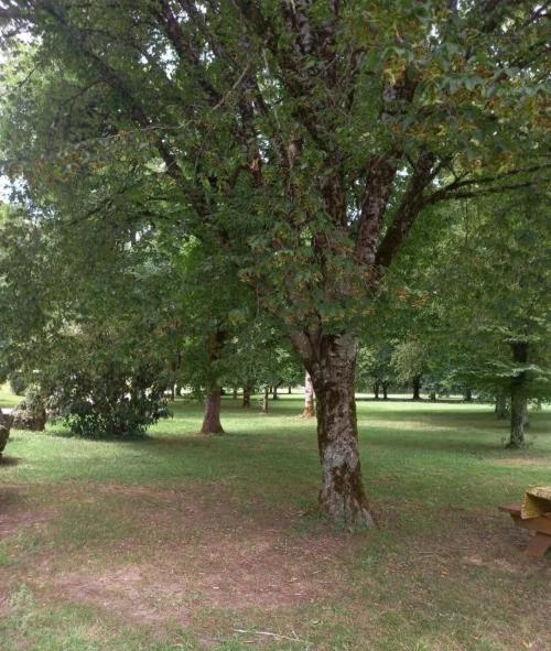 Photo de Feuillade