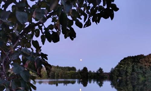 Photo de Fongrave