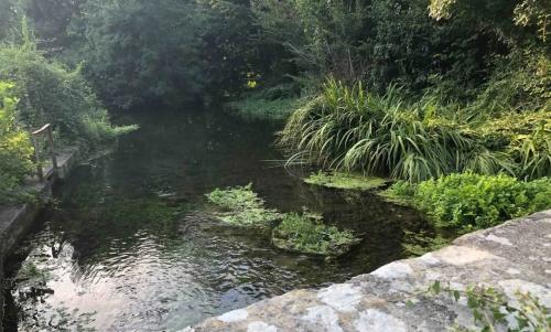 Photo de Fontenille-Saint-Martin-d'Entraigues