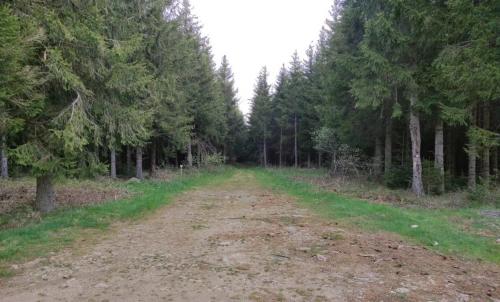 Photo de Freycenet-la-Cuche