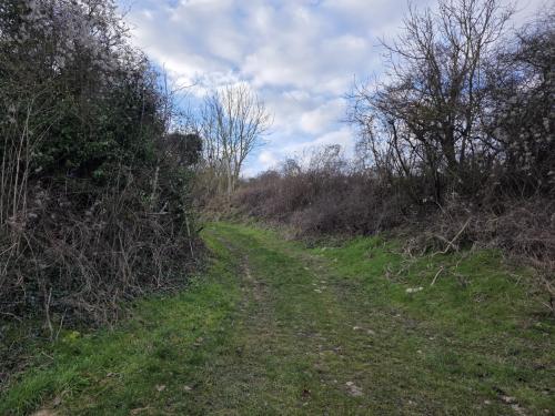 Photo de Frouville