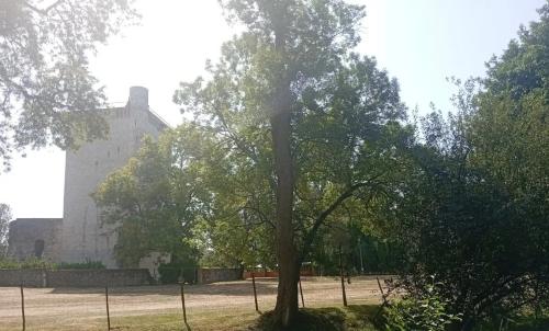 Photo de Gaillan-en-Médoc