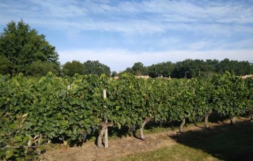 Photo de Gauriaguet