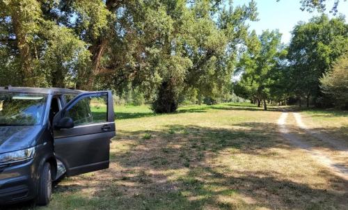 Photo de Gensac-sur-Garonne