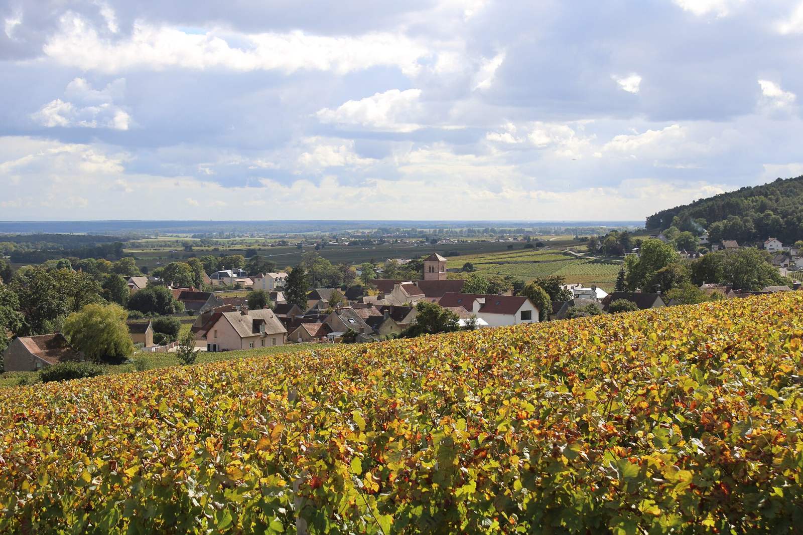 Photo de Gevrey-Chambertin