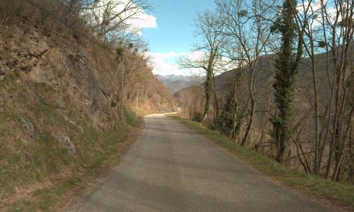 Photo de Gourbit