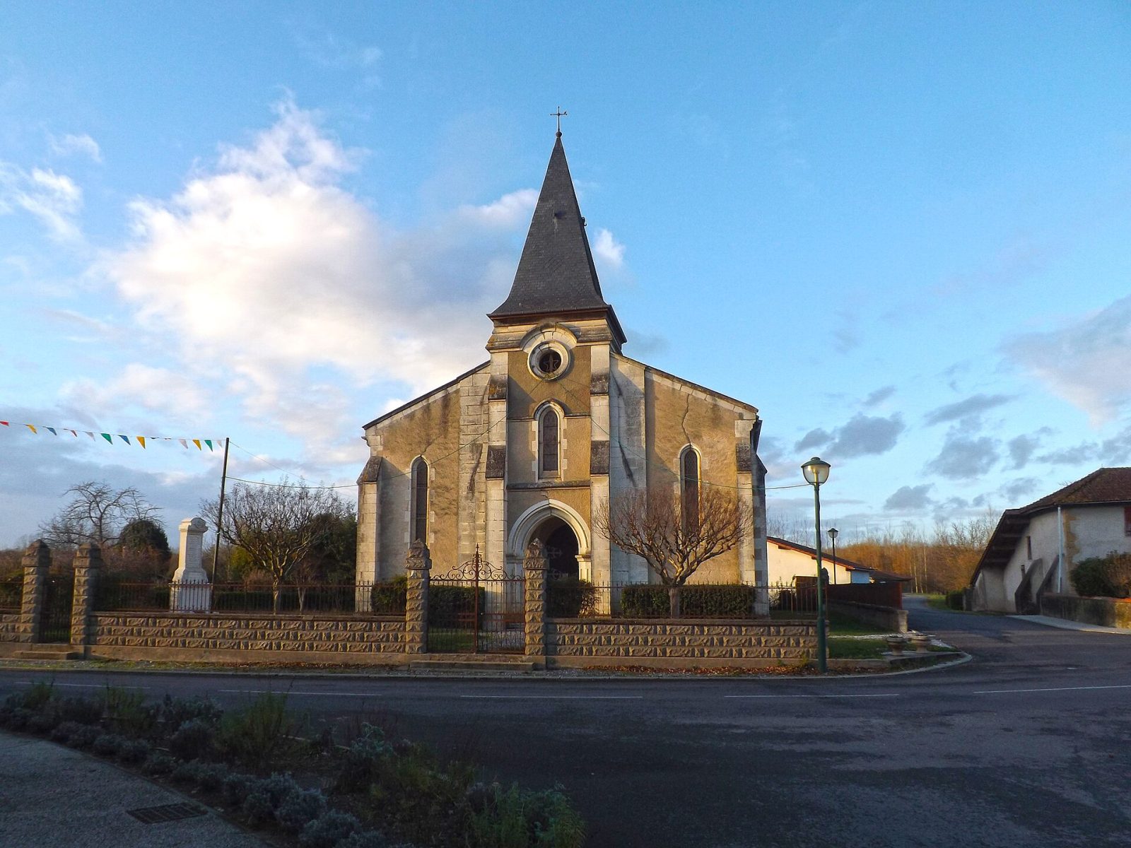 Photo de Gousse
