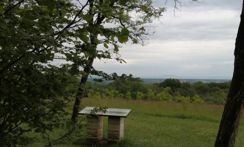 Photo de Gredisans
