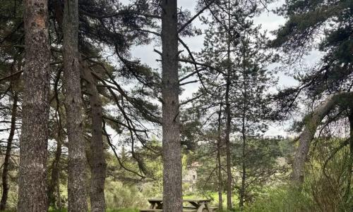 Photo de Grèzes