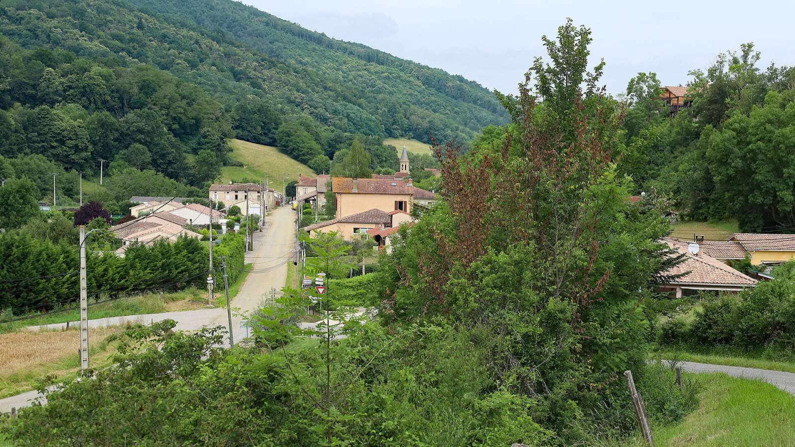 Photo de Gudas