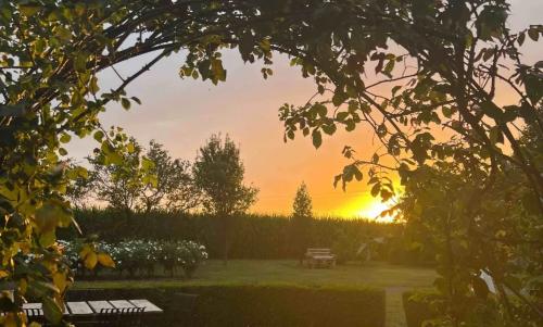 Photo de Hancourt
