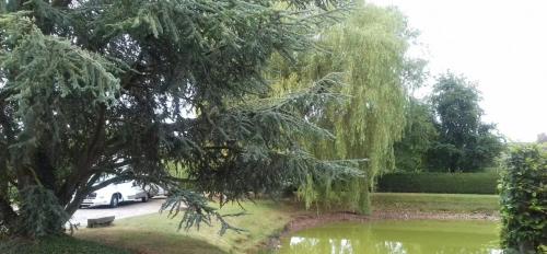 Photo de La Haye-Saint-Sylvestre