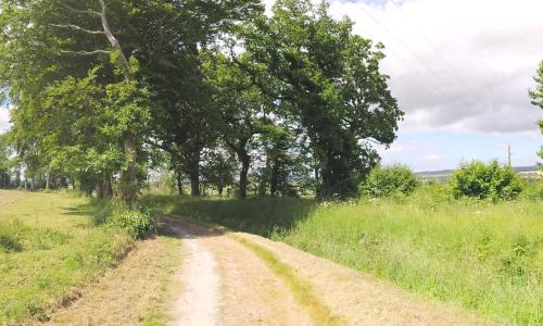 Photo de Hémonstoir