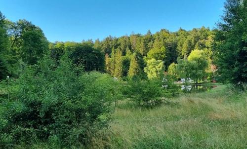 Photo de Herbeuville