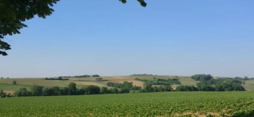 Photo de Hohatzenheim
