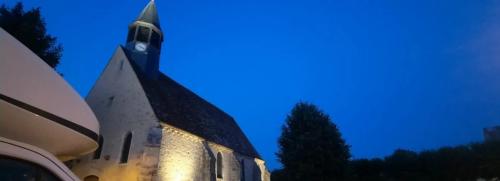 Photo de Houx