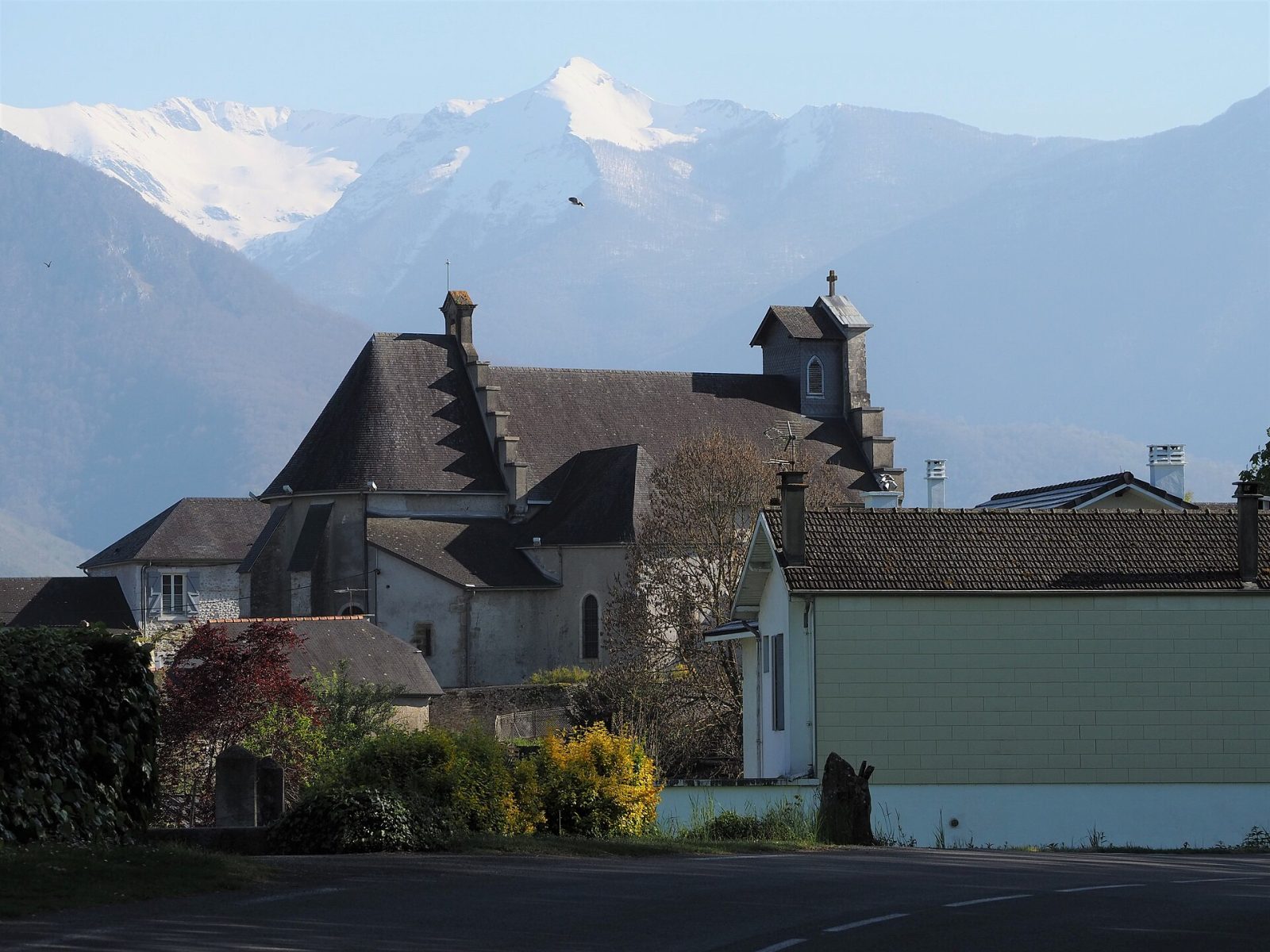 Photo de Igon