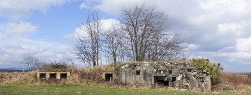 Photo de Ingolsheim