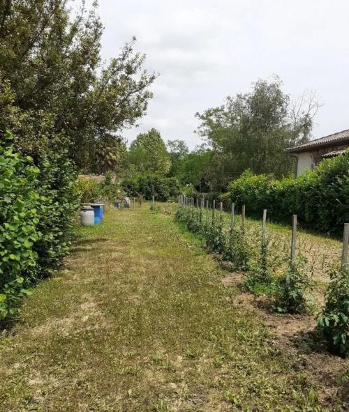 Photo de L'Isle-en-Dodon