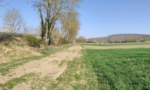 Photo de Jaulgonne