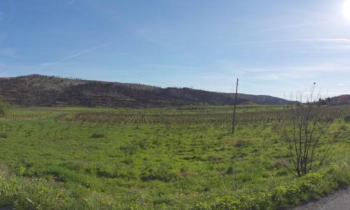 Photo de Jonquières