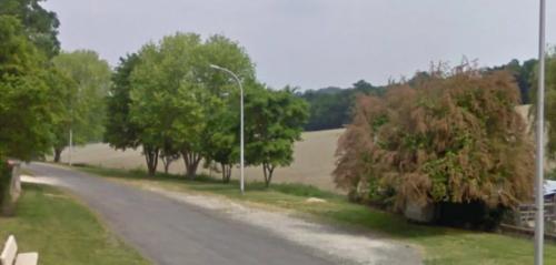 Photo de Juignac