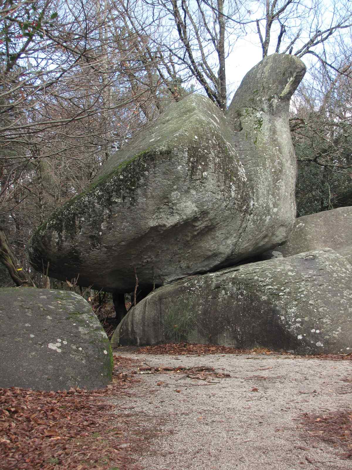 Photo de Lacrouzette