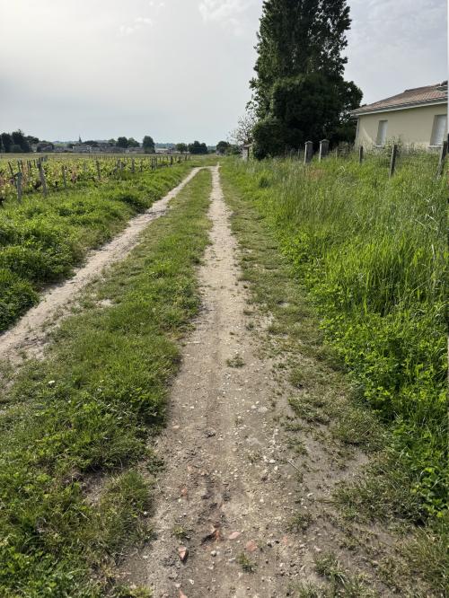 Photo de La Lande-de-Fronsac