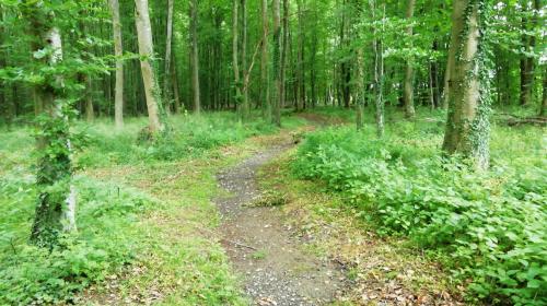 Photo de Landes-Vieilles-et-Neuves