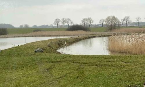 Photo de Languimberg