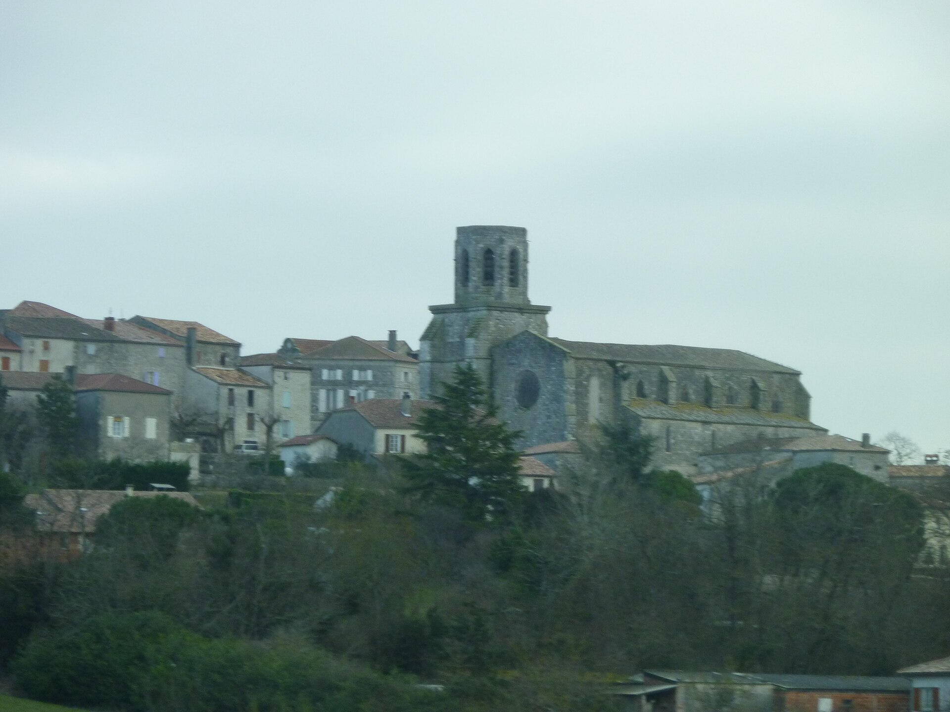 Photo de Laplume
